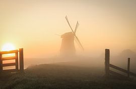 Mistig Hollands landschap van Eefje John