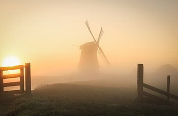 Mistig Hollands landschap