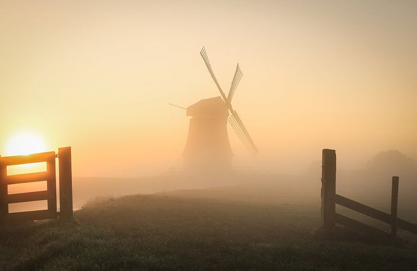 Paysage brumeux des Pays-Bas par Eefje John