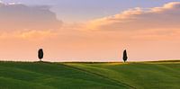 Cipress bomen in de Crete Senesi in de Toscane van Henk Meijer Photography thumbnail