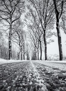 Sneeuw weg met bomen van Martijn van Dellen