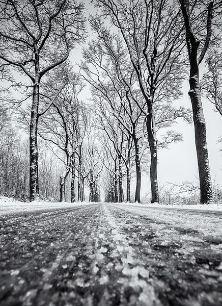 Schnee weg mit Bäumen von Martijn van Dellen