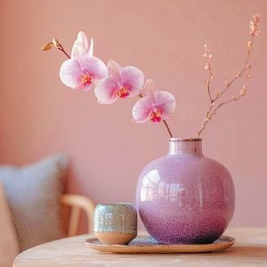 Die Orchidee