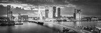 Skyline Rotterdam Erasmusbrug - Zwart Wit van Vincent Fennis thumbnail