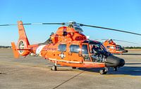 U.S. Coast Guard Aérospatiale MH-65D Dolphin. van Jaap van den Berg thumbnail