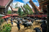 Sacrificial festival in Traditional Indonesian village.