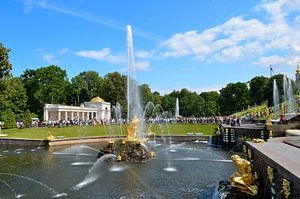 Springbrunnen und Garten des Schlosses Peterhof in St. Petersburg