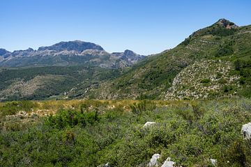 Grüne Berglandschaft, Sierra de Bernia y Ferrer