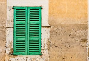 Volets de fenêtre en bois vieux vert et mur grunge sur Alex Winter