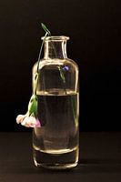 Bloem in de knop gebroken