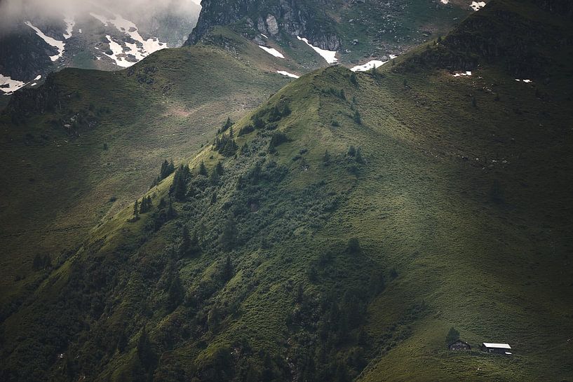 Alpenuitzicht 3 van Bart Rondeel