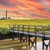 Vue sur le phare de Westerheversand à la mer du Nord avec des marais salants et un petit pont en bois sur Animaflora PicsStock