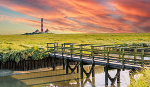 Blick auf den Leuchtturm Westerheversand an der Nordsee mit Salzwiesen und einer kleinen Holzbrücke