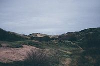 duinen katwijk 