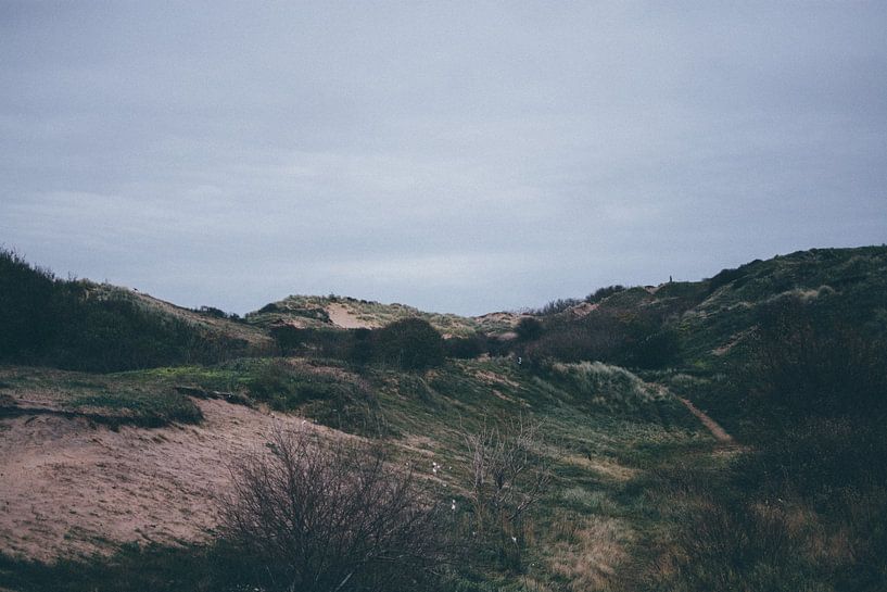 Dunes  by Stephan de Haas