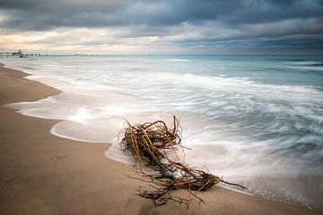 Ostsee in Sellin, Rügen von Nils Steiner