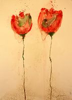 Rote Mohnblume mit roter Knospe