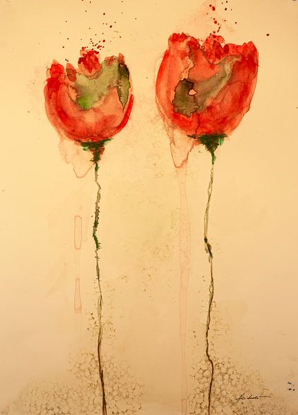 Rote Mohnblume mit roter Knospe von Klaus Heidecker