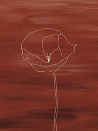 Poppy l - Coquelicot abstrait sur Some Kind of Art Studio