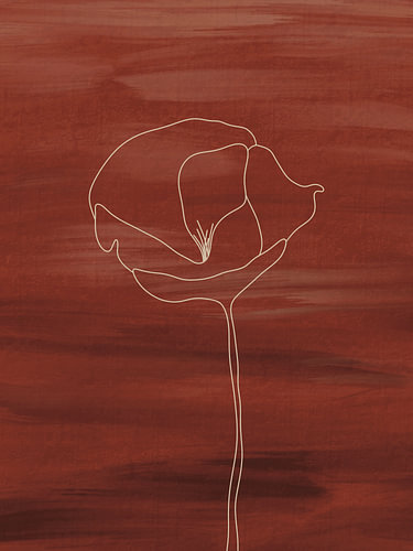 Poppy l - Klaproos Abstract