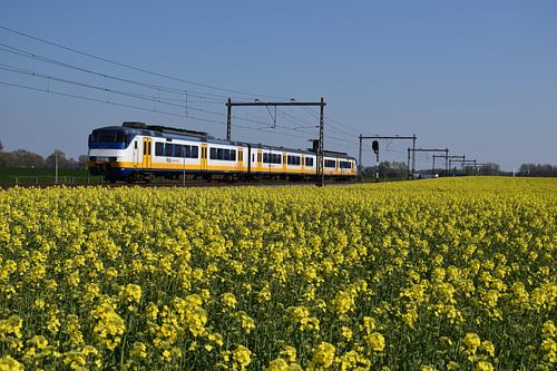 SGM Sprinter in de lente