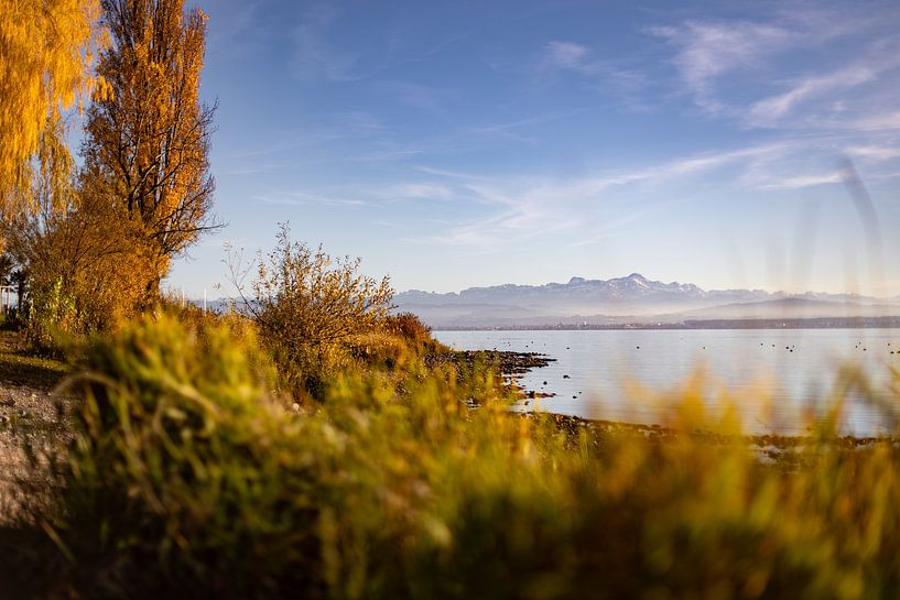 Bodensee bei Immenstaad im Herbst von Jan Schuler