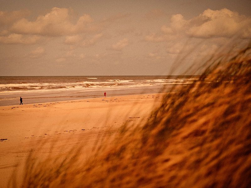 Der Spion, der aus den Dünen kam von Martijn Jebbink Photography