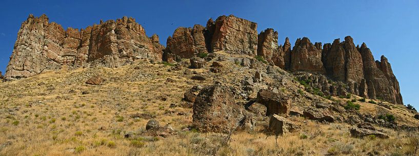 Clarno unit, John Day Fossil Beds by Jeroen van Deel