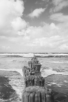 Strand van Ameland van Roanna Fotografie