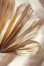 A palm leaf captured in exquisite detail – warm boho macro photography by Dave Schloffi