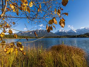 Goldener Herbst am Barmsee in Oberbayern- Herbstzauber in den Alpen