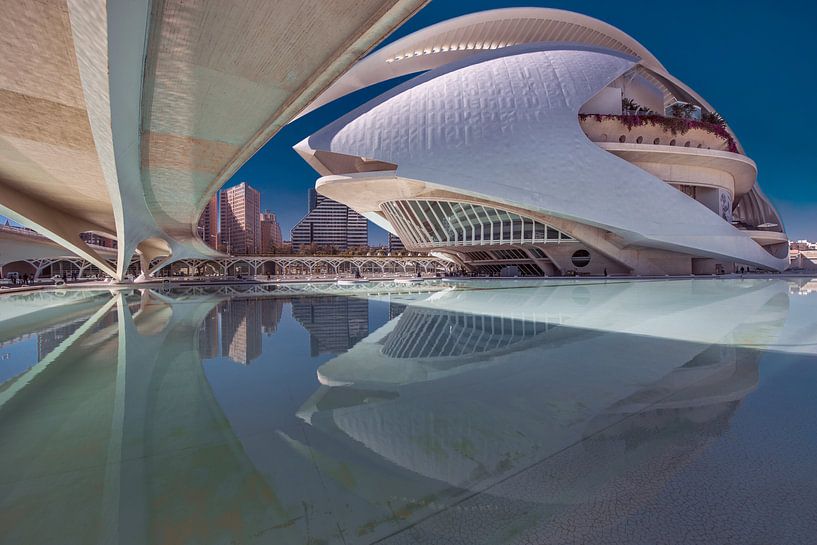 Le théâtre de Valence, Espagne, dans le quartier des Arts et des Sciences par Harrie Muis