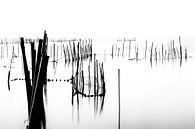 Laguna d' Albufera in Spanje van Truus Nijland thumbnail