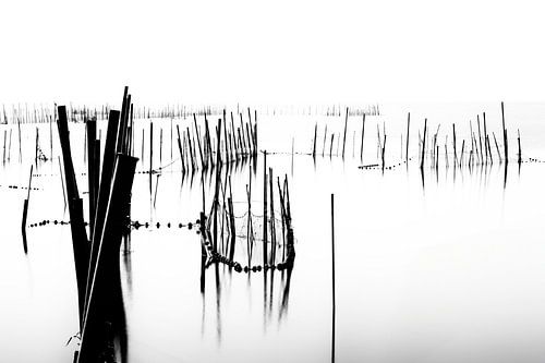 Laguna d' Albufera en Espagne