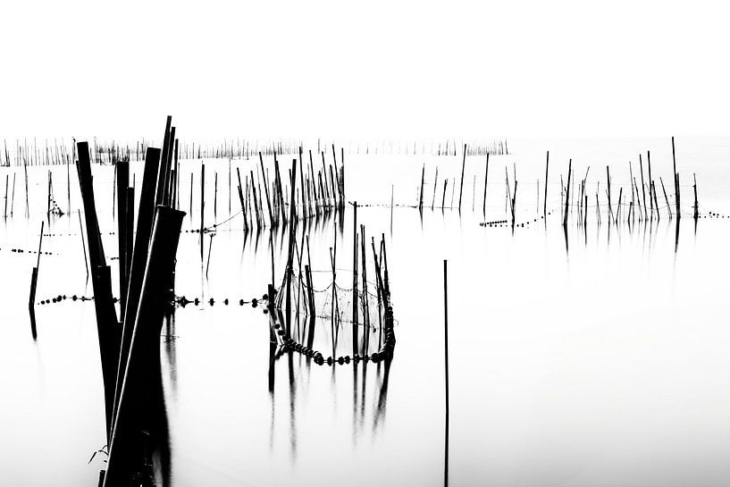 Laguna d' Albufera in Spanje van Truus Nijland