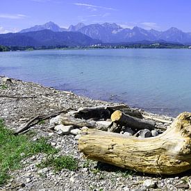 Uitzicht op de Forggensee bij Füssen in de Allgäu van Karl-Heinz Petersitzke