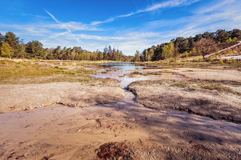 Roode Beek @ Brunssummerheide von Rob Boon