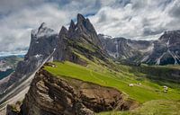 Matin sur Seceda