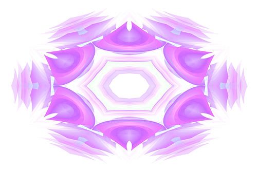 Akra viola floro
