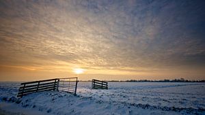 Longing for Winter by Martijn van der Nat