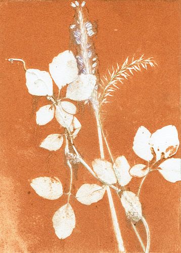 Oranje Botanische Bladeren