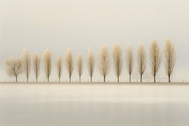 De Gouden Tien van de Polder