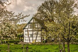 Vakwerkhuisje bij Mechelen by John Kreukniet