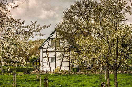 Vakwerkhuisje bij Mechelen