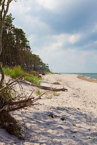 Ostsee: Darß - Weststrand