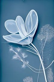 Bleu XVII - fleur en lignes blanches ce qui reste sur Lily van Riemsdijk - Art Prints with Color