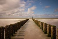 Beach of Zeeland