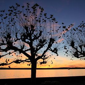 Sunset at Meersburg - Lake Constance van Holger Mader