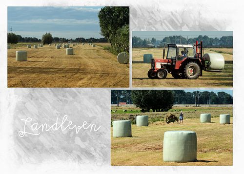 Landleven sur Yvonne Blokland