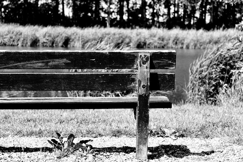 The Time by Sidney Graf